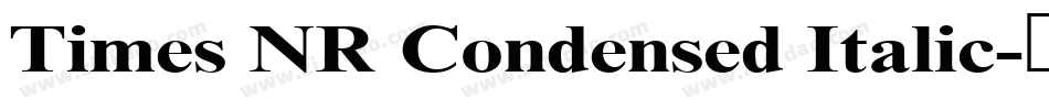 Times NR Condensed Italic字体转换